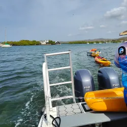 La Parguera Bioluminescent Bay - La Parguera (Lajas)