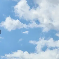 La Parguera Boardwalk (Malecón) - La Parguera (Lajas)