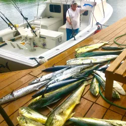 La Parguera Fishing Village - La Parguera (Lajas)