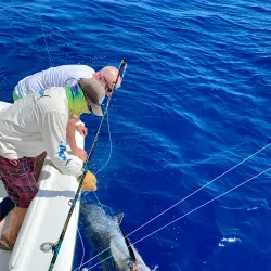 La Parguera Fishing Village - La Parguera (Lajas)