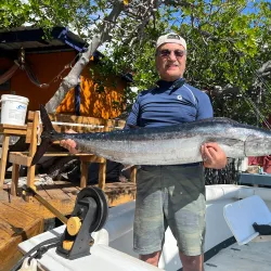 La Parguera Fishing Village - La Parguera (Lajas)