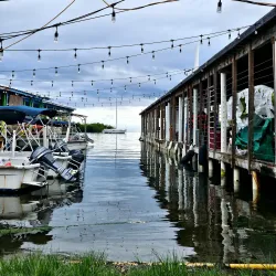 La Parguera Mangrove Forest - La Parguera (Lajas)