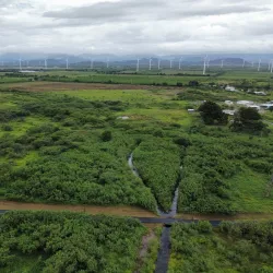 Reserva Natural Punta Petrona - La Parguera (Lajas)