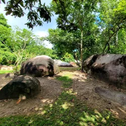 Cueva del Indio - Las Muesas