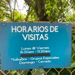 Cueva del Indio - Las Muesas