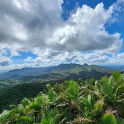 El Yunque National Forest - Las Muesas