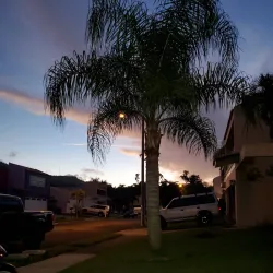 Playa Las Muesas - Las Muesas