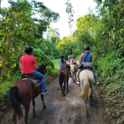 Carabalí Rainforest Park - Luquillo