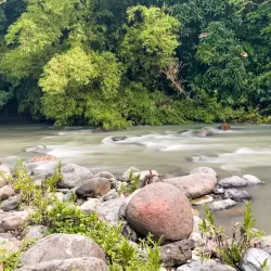 Carabalí Rainforest Park - Luquillo