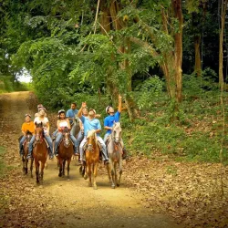 Carabalí Rainforest Park - Luquillo
