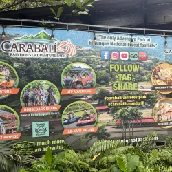 Carabalí Rainforest Park - Luquillo