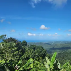 El Portal Rainforest Center - Luquillo