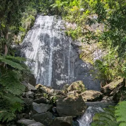 El Portal Rainforest Center - Luquillo