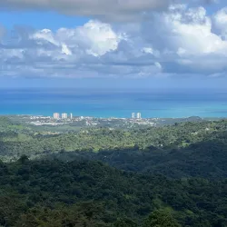 El Portal Rainforest Center - Luquillo