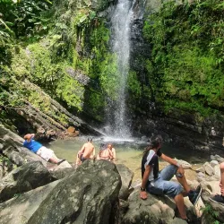 El Portal Rainforest Center - Luquillo