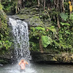 La Coca Falls - Luquillo