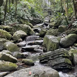La Coca Falls - Luquillo