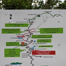 La Coca Falls - Luquillo