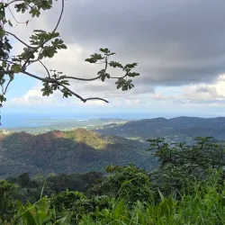 La Coca Falls - Luquillo