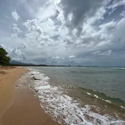 La Selva Nature Reserve - Luquillo