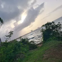 La Selva Nature Reserve - Luquillo