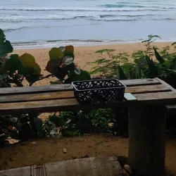 La Selva Nature Reserve - Luquillo