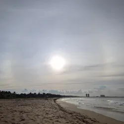 La Selva Nature Reserve - Luquillo