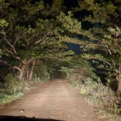La Selva Nature Reserve - Luquillo