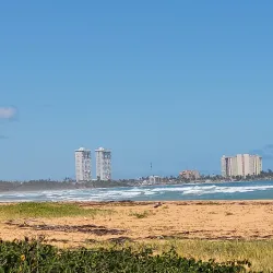 La Selva Nature Reserve - Luquillo