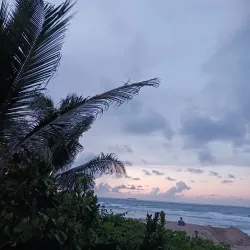 La Selva Nature Reserve - Luquillo