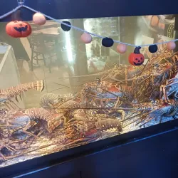 Luquillo Kiosks (Kioskos de Luquillo) - Luquillo