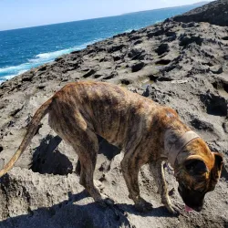 Balneario de Manatí - Manati
