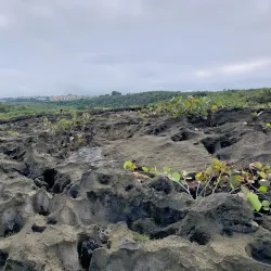 Balneario de Manatí - Manati