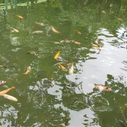 Parque de los Próceres - Manati