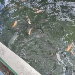 Parque de los Próceres - Manati