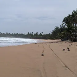 Playa Los Tubos - Manati