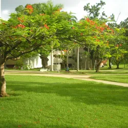 University of Puerto Rico at Mayaguez (UPRM) - Mayaguez