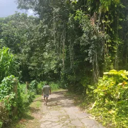 Charco El Hippie - Naguabo