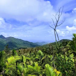 El Yunque National Forest - Naguabo