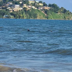 Húcares Fishing Village - Naguabo