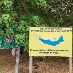 Playa Escondida - Naguabo