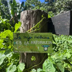 Charco El Hippie - Naranjito