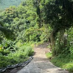 Charco El Hippie - Naranjito