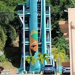 Festival de la Naranja - Naranjito