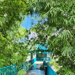 Mirador de Naranjito - Naranjito