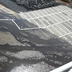 Río de la Plata - Naranjito