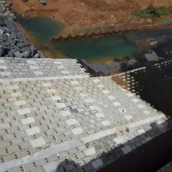 Río de la Plata - Naranjito