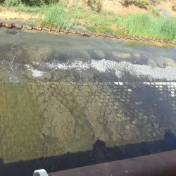 Río de la Plata - Naranjito