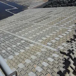 Río de la Plata - Naranjito