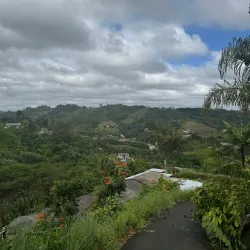Ruta de las Flores - Naranjito